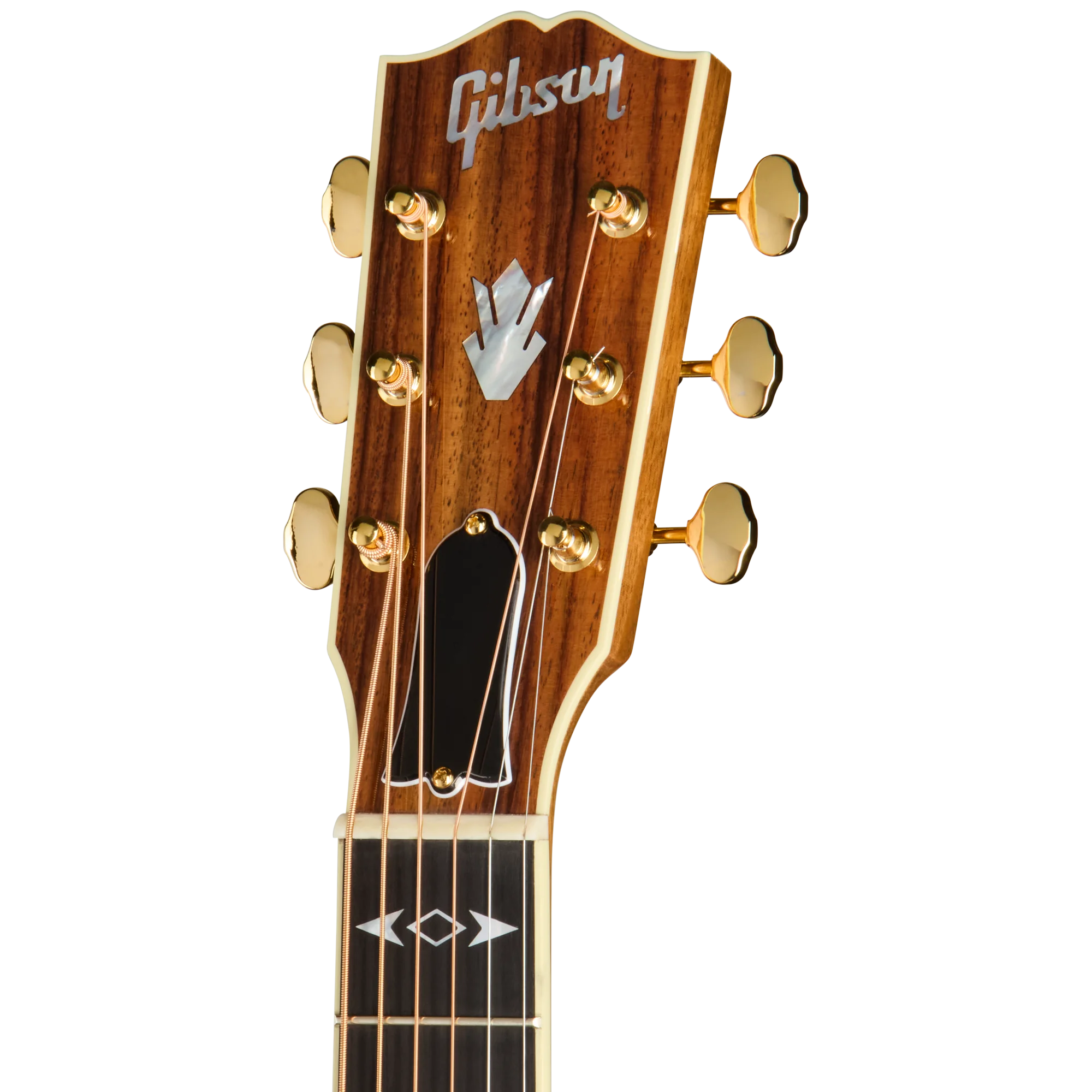 Songwriter Recording Artist EC Rosewood Burst
